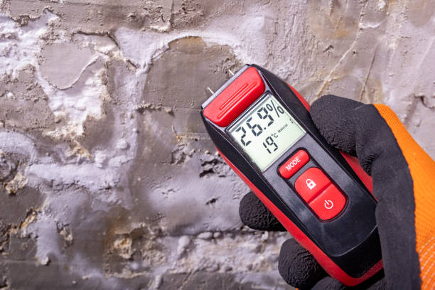 Best Toxic Mold Removal  in Pecan Grove, TX