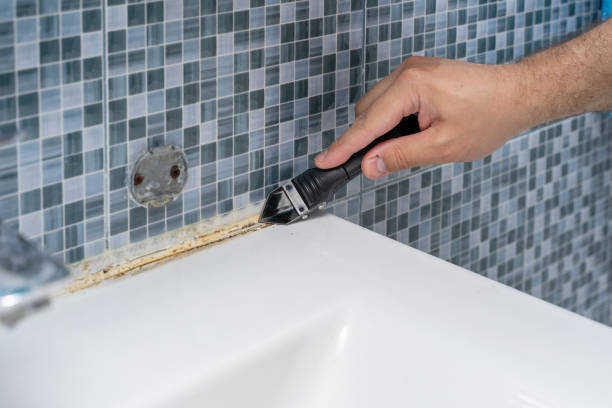 Best Fast Mold Removal  in Pecan Grove, TX
